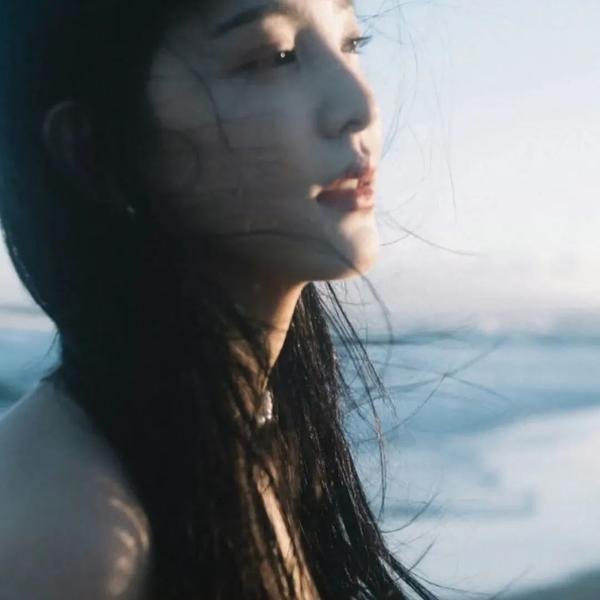 我的鄂尔多斯 海报